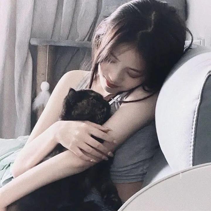 汽车睡眠谋杀案